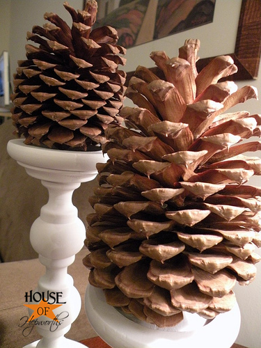 Pinecone Seconds - Large and Small