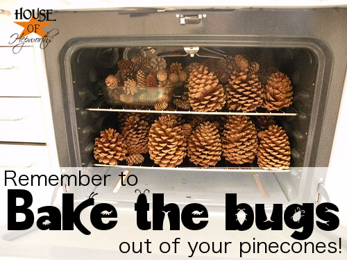 How To Bake Pinecones for Crafts, Blackcabbit Illustrations