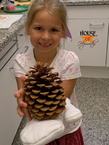 Bake the bugs out of your pinecones! - House of Hepworths