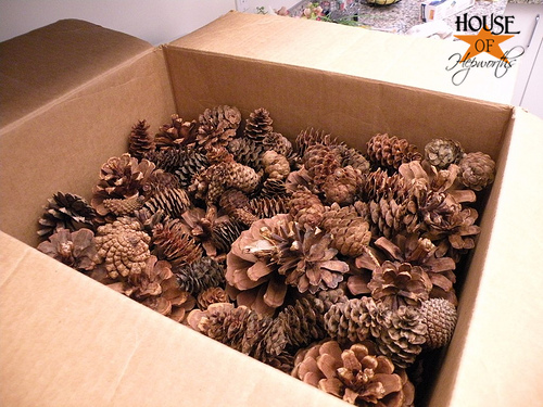 How To Bake Pinecones for Crafts, Blackcabbit Illustrations