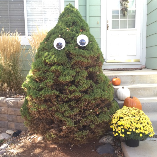 DIY Giant Googly Eyes  Halloween diy, Cheap diy halloween