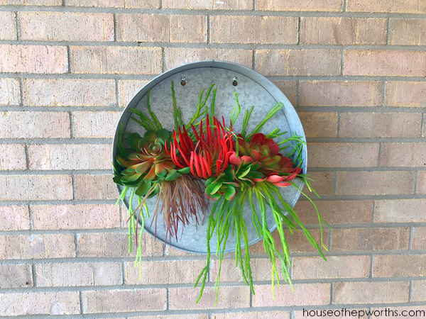 metal round wall planter with faux succulents